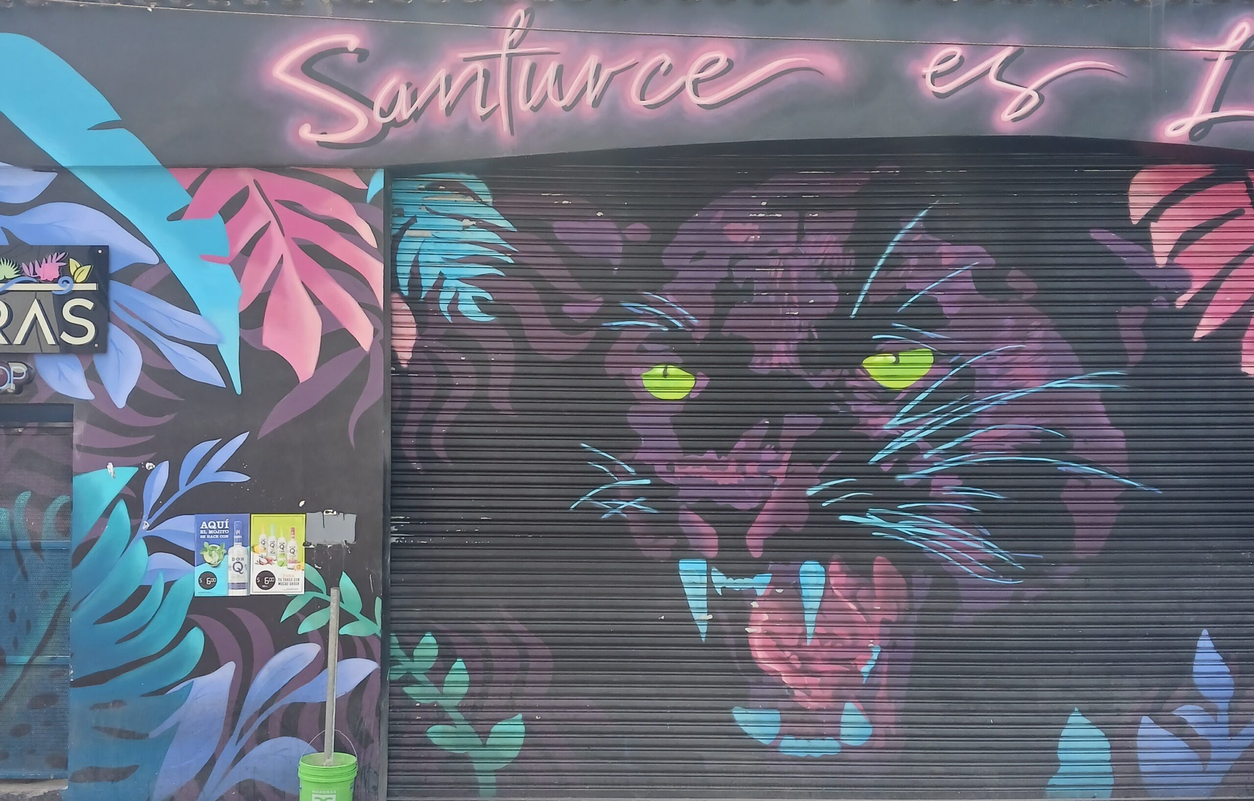 Mural of a Black Panther in the Santurce neighborhood of San Juan, Puerto Rico